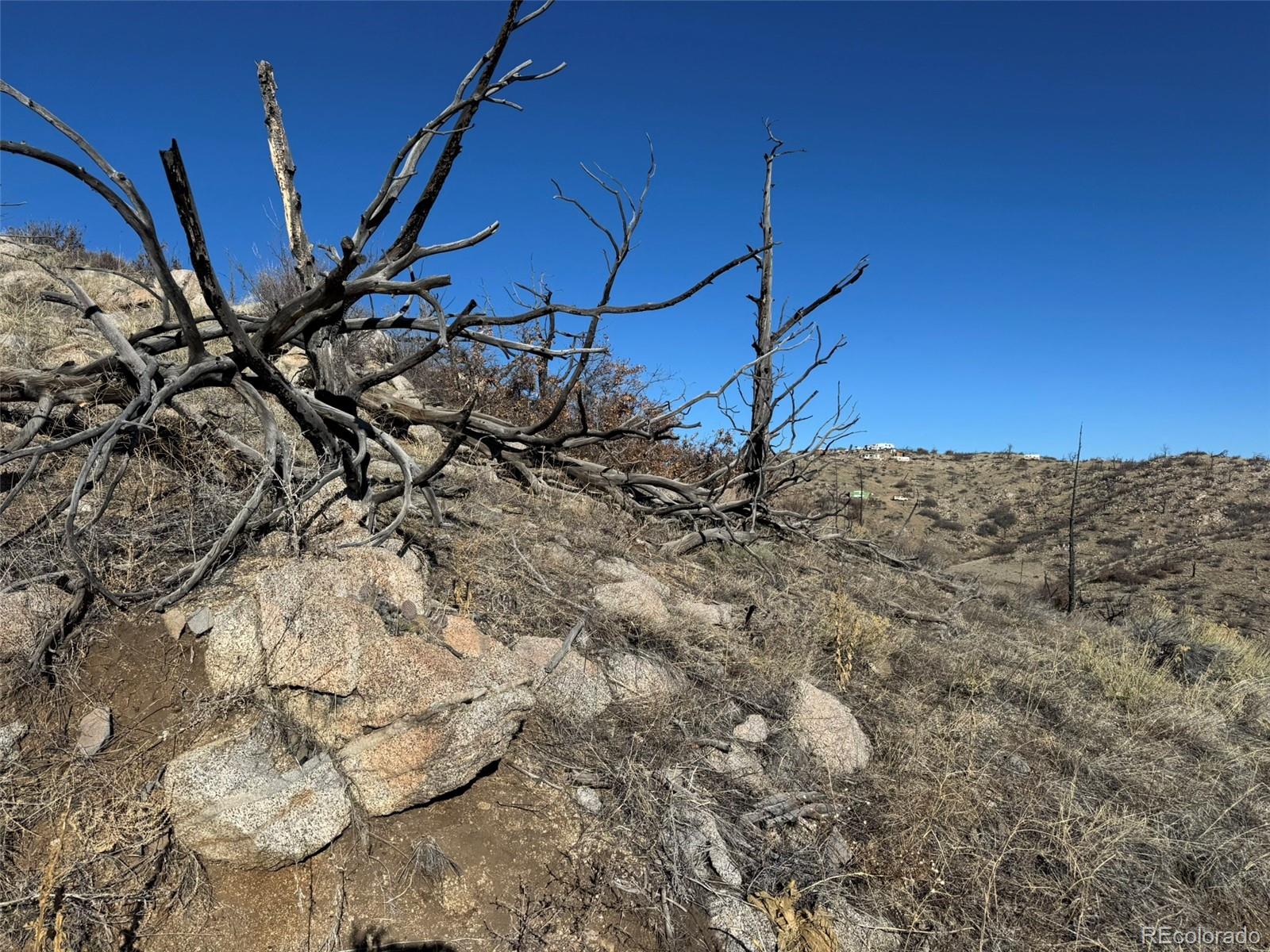 F Path Cotopaxi, CO 81223 - Photo 16 of 27 a view of a dry yard with wooden fence