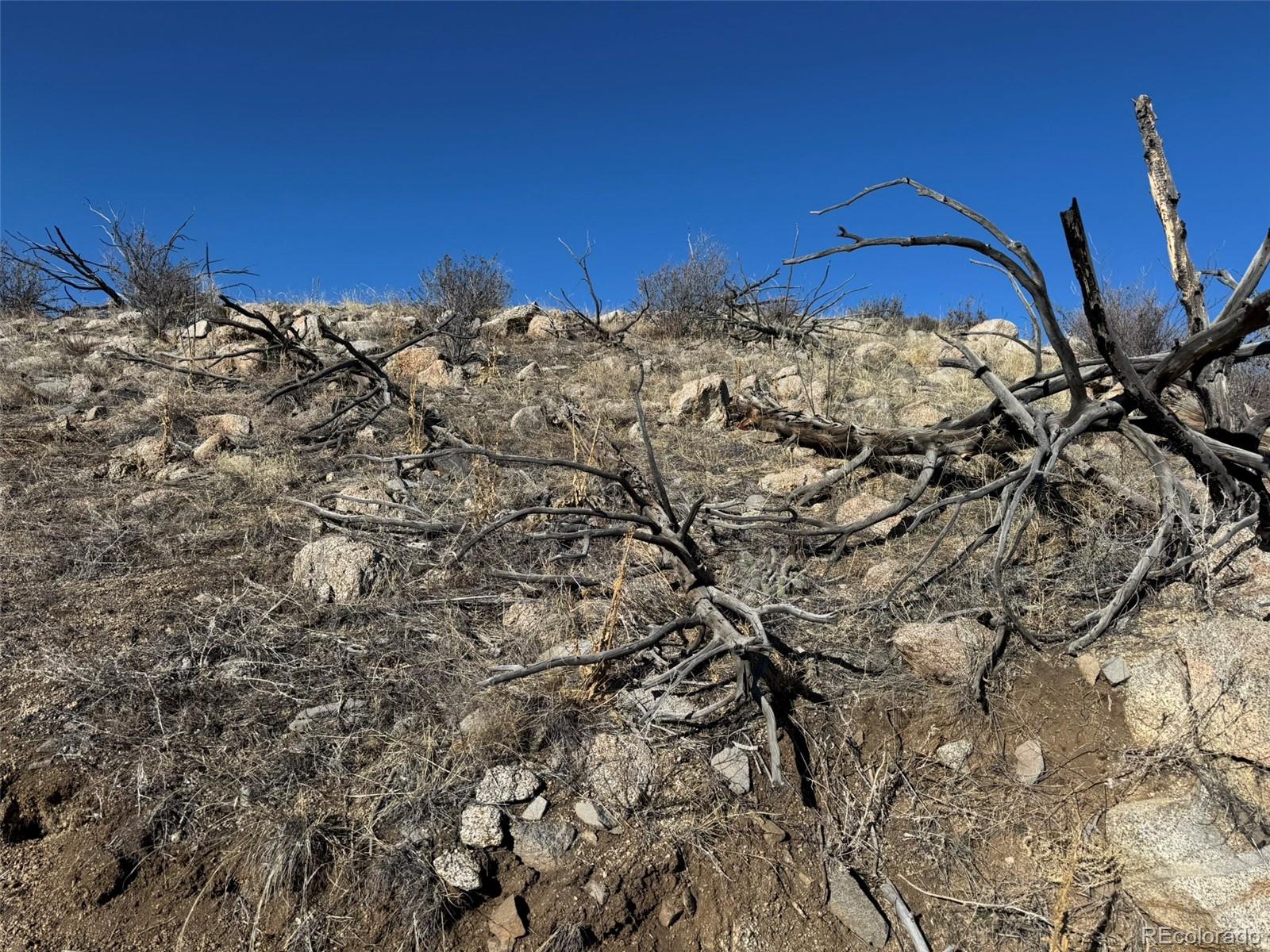 F Path Cotopaxi, CO 81223 - Photo 17 of 27