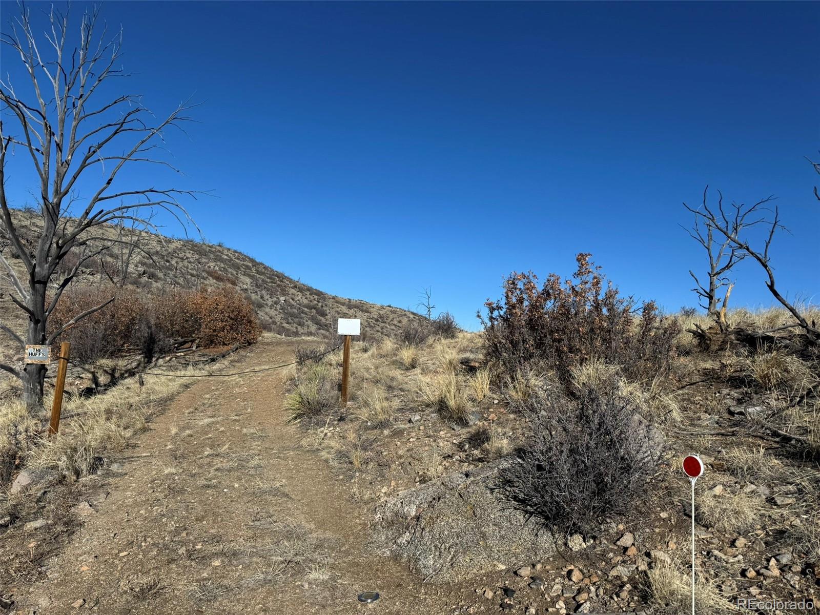 F Path Cotopaxi, CO 81223 - Photo 19 of 27