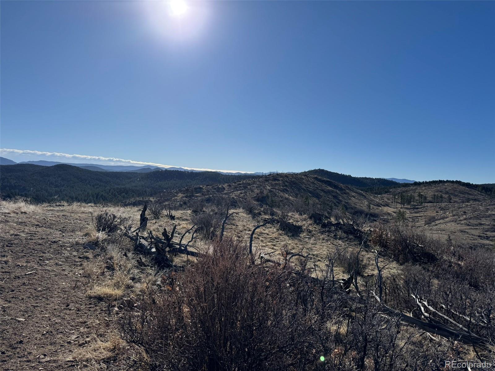 F Path Cotopaxi, CO 81223 - Photo 21 of 27 a view of mountain and tree