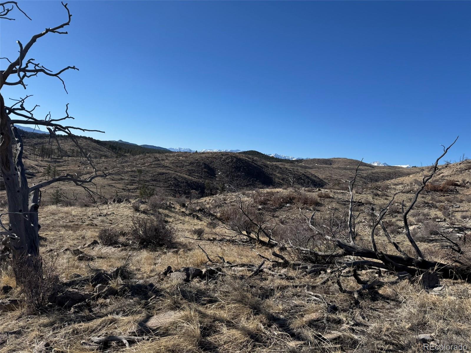 F Path Cotopaxi, CO 81223 - Photo 26 of 27