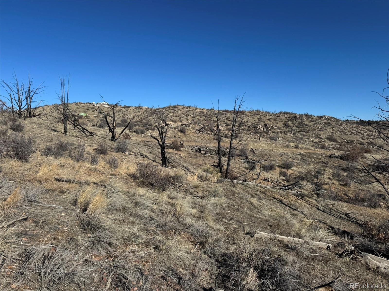 F Path Cotopaxi, CO 81223 - Photo 5 of 27 a view of a dry yard with mountains in the background