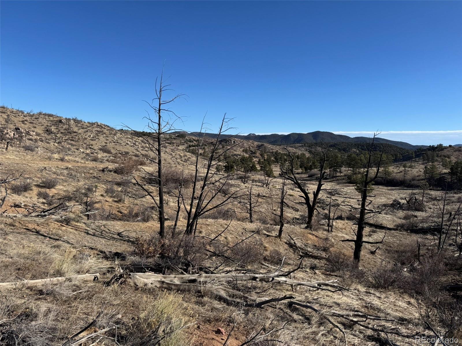 F Path Cotopaxi, CO 81223 - Photo 6 of 27 a view of a dry yard with mountains in the background