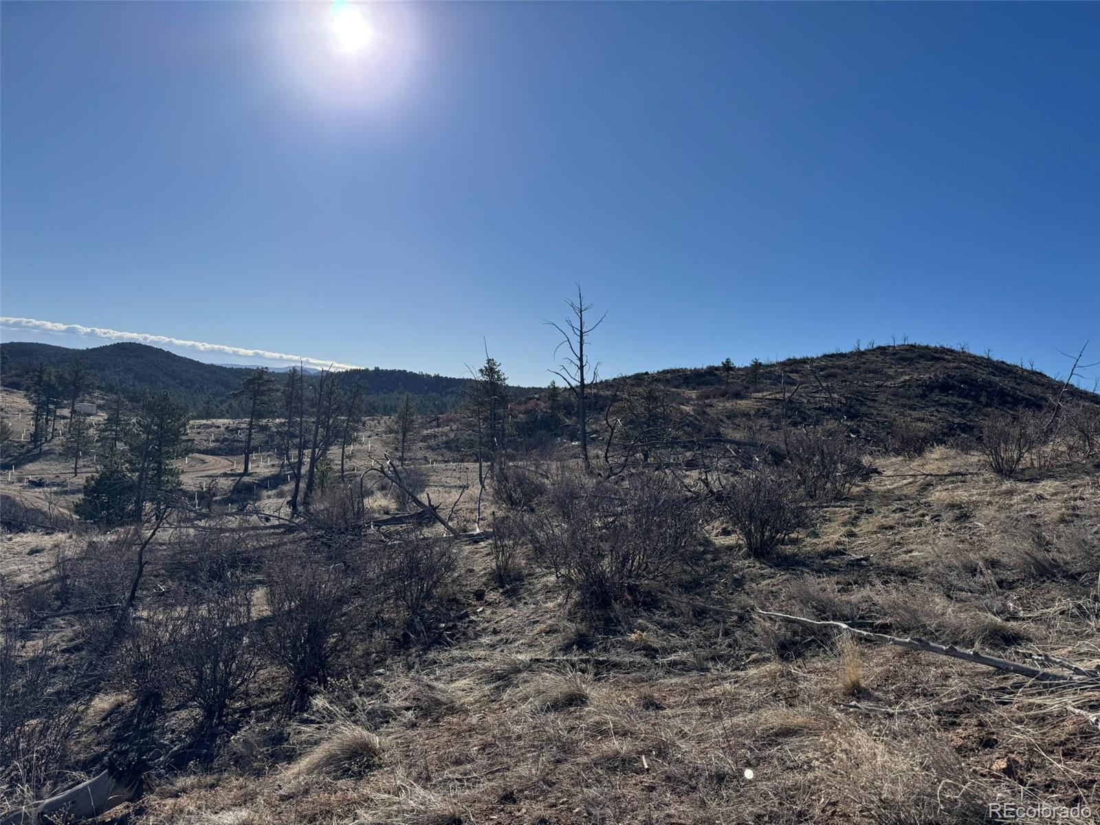 F Path Cotopaxi, CO 81223 - Photo 8 of 27