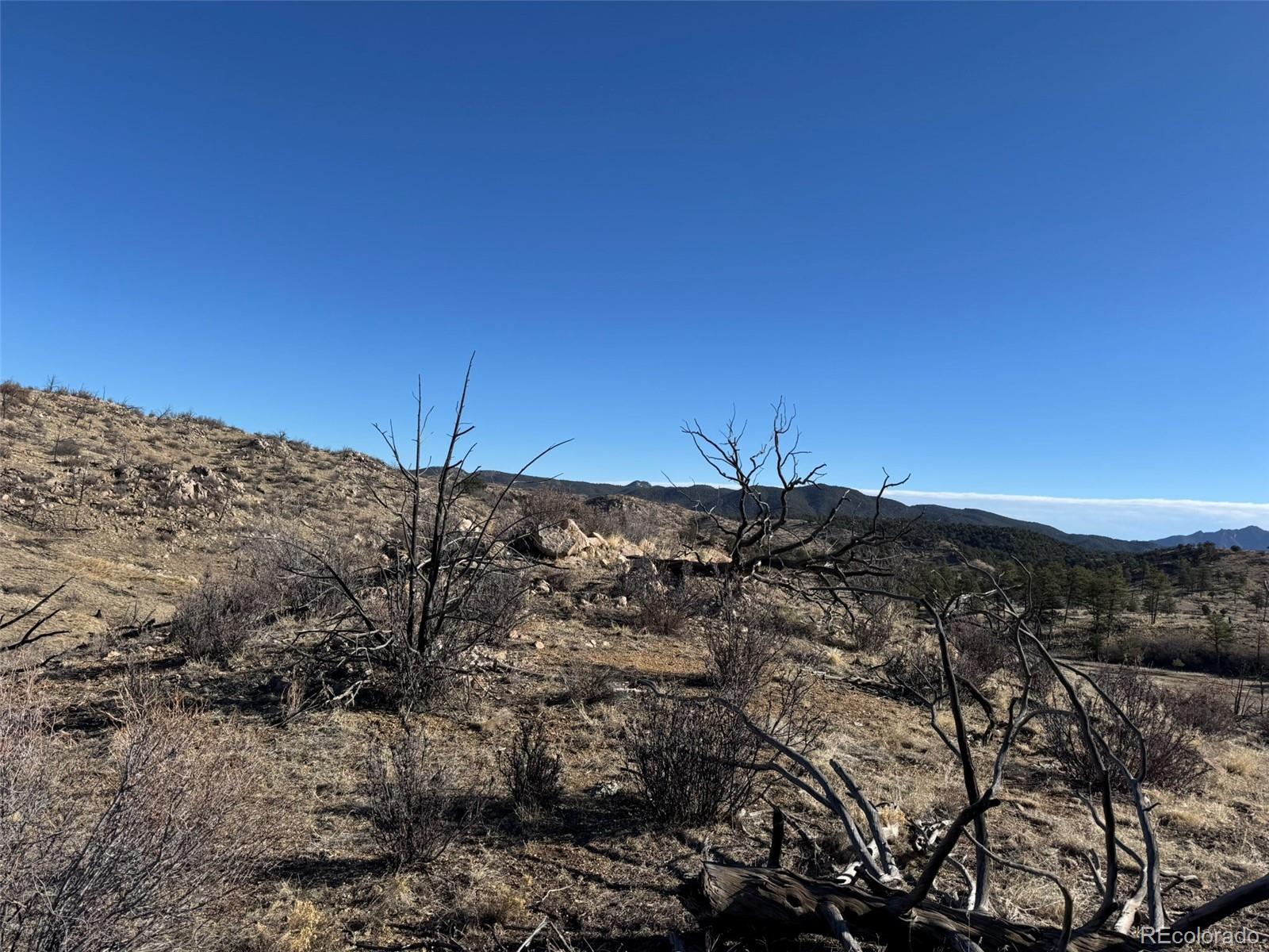 F Path Cotopaxi, CO 81223 - Photo 10 of 27 a view of a bunch of trees and mountains