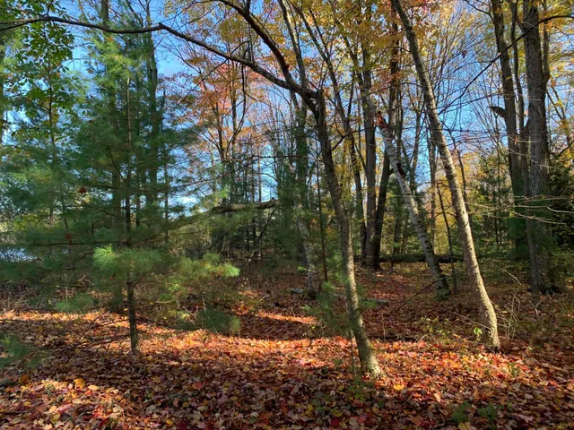 $55,000 | East Rossell Lake Road, Walkerville, MI 49459