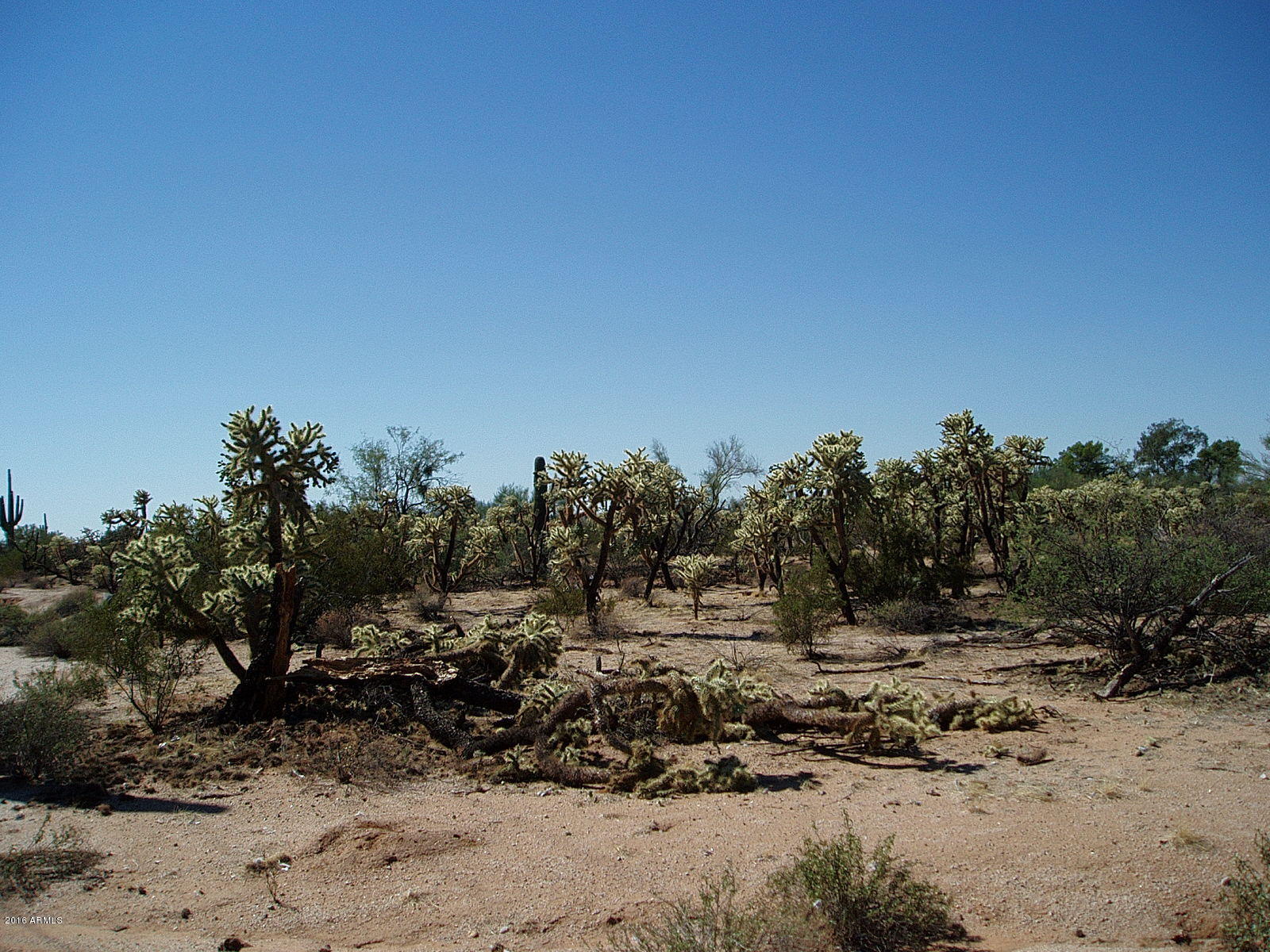24423 East Cholla Road Florence, AZ 85132 - Photo 12 of 21 PA010004