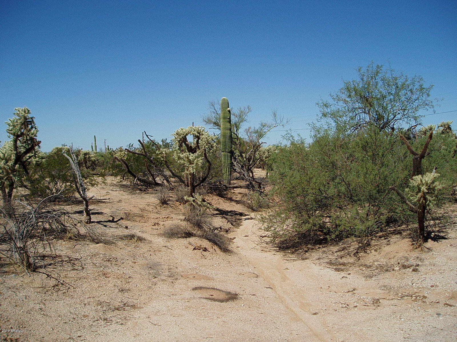 24423 East Cholla Road Florence, AZ 85132 - Photo 13 of 21 PA010008