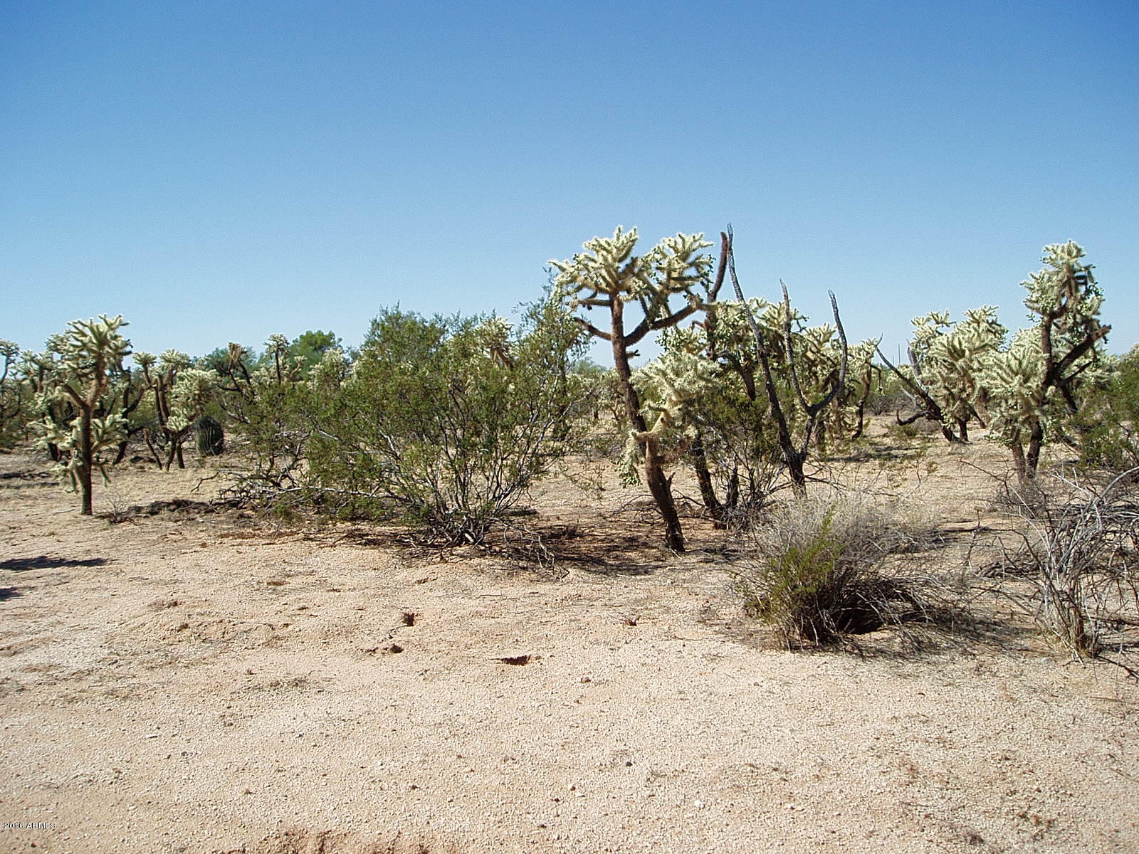 24423 East Cholla Road Florence, AZ 85132 - Photo 14 of 21 PA010009