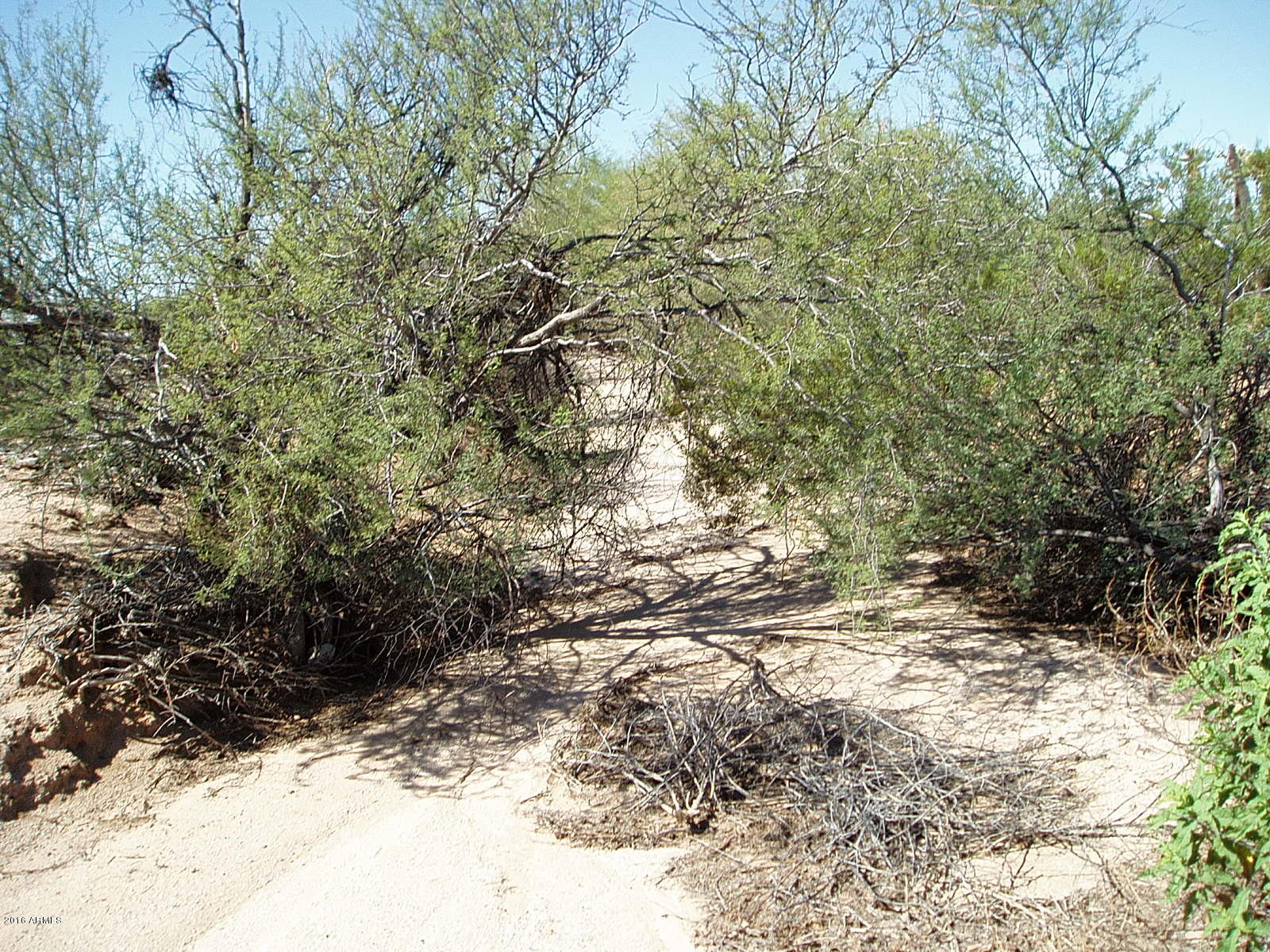 24423 East Cholla Road Florence, AZ 85132 - Photo 15 of 21 PA010010