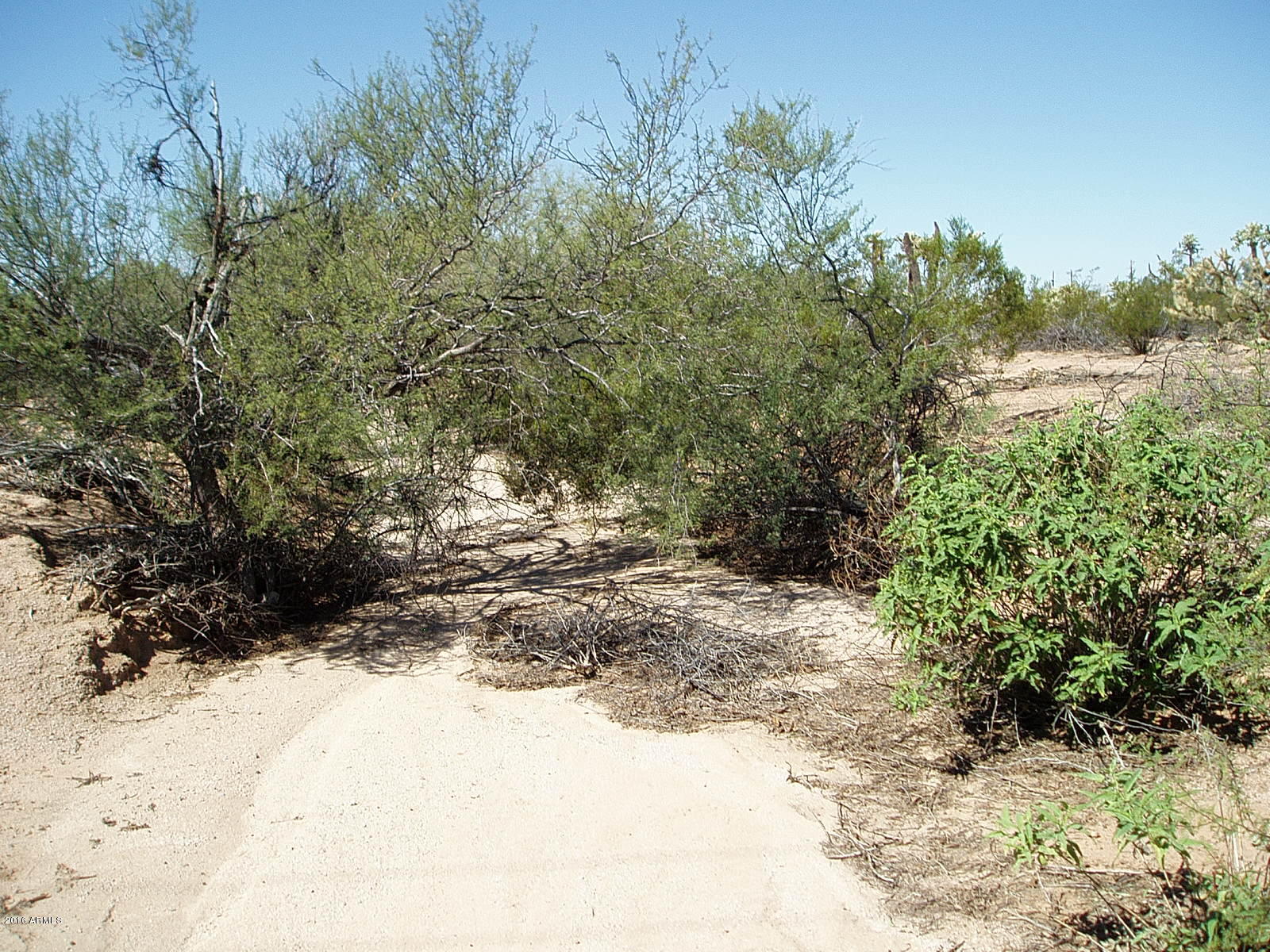 24423 East Cholla Road Florence, AZ 85132 - Photo 16 of 21 PA010011