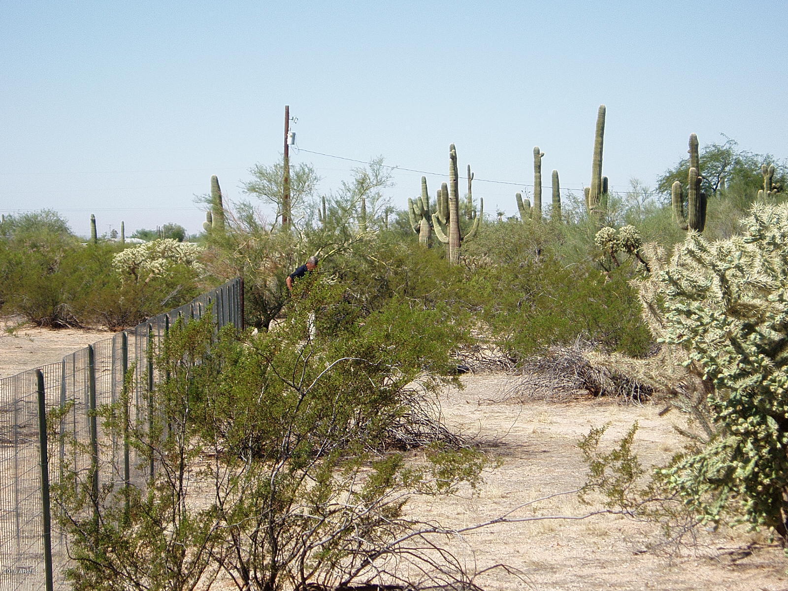 24423 East Cholla Road Florence, AZ 85132 - Photo 19 of 21 PA010016