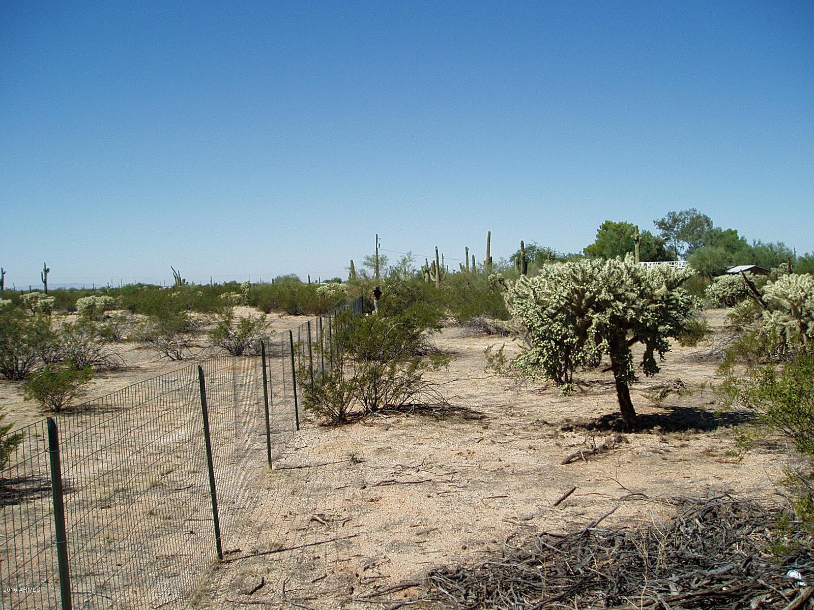 24423 East Cholla Road Florence, AZ 85132 - Photo 4 of 21 PA010015