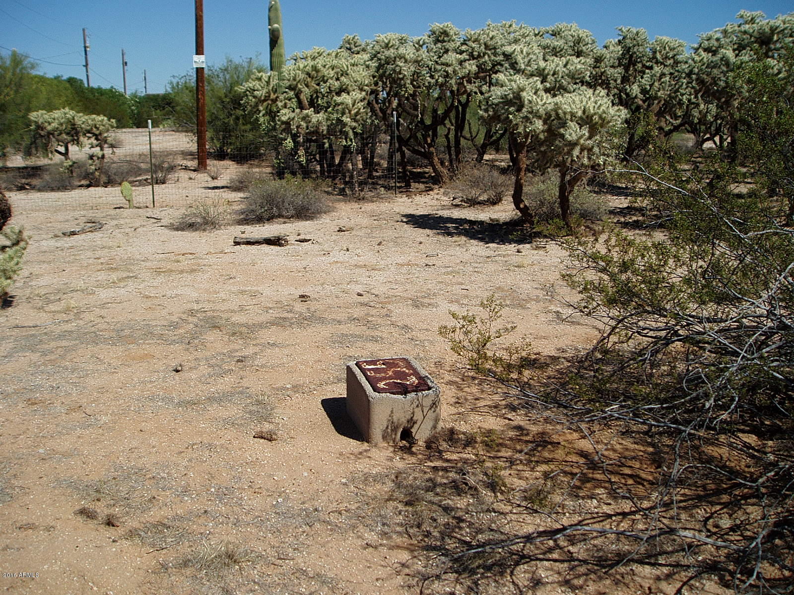 24423 East Cholla Road Florence, AZ 85132 - Photo 10 of 21 PA010006