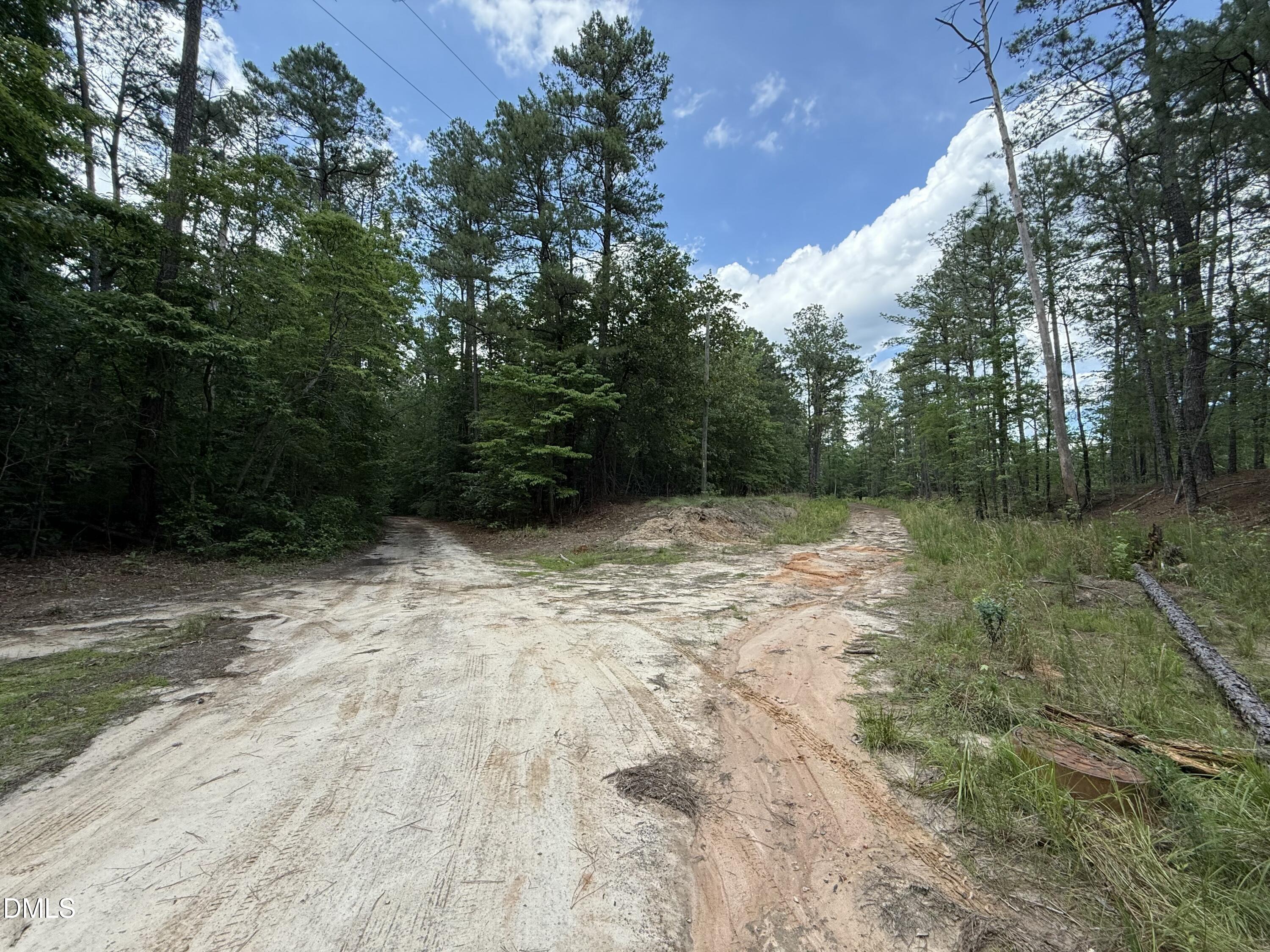 0 Elfman Drive Spring Lake, NC 28390 - Photo 26 of 40 a view of backyard with green space