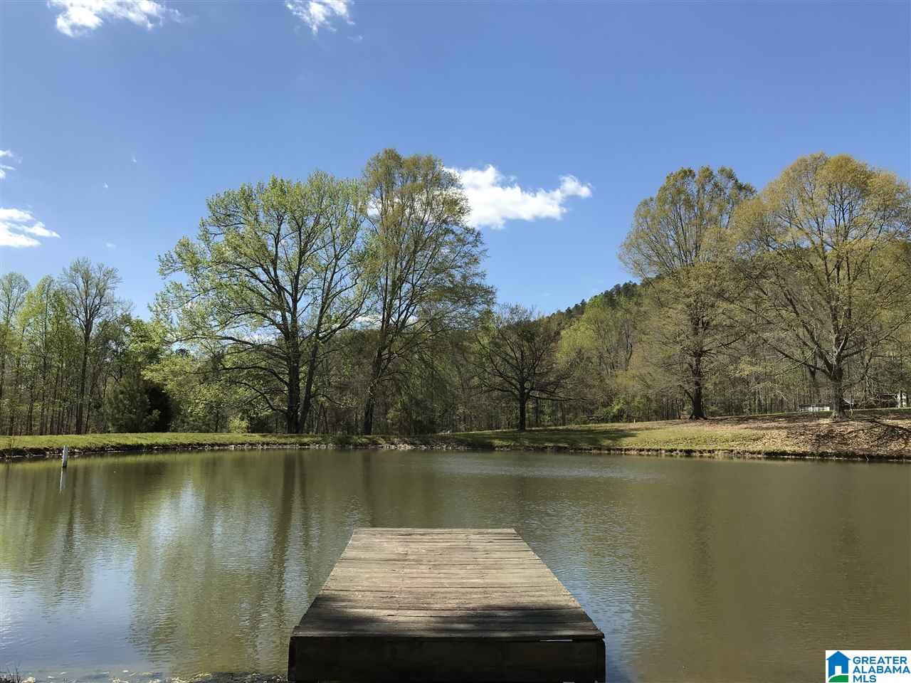 346 Hunters Lane Vandiver, AL 35176 - Photo 24 of 38