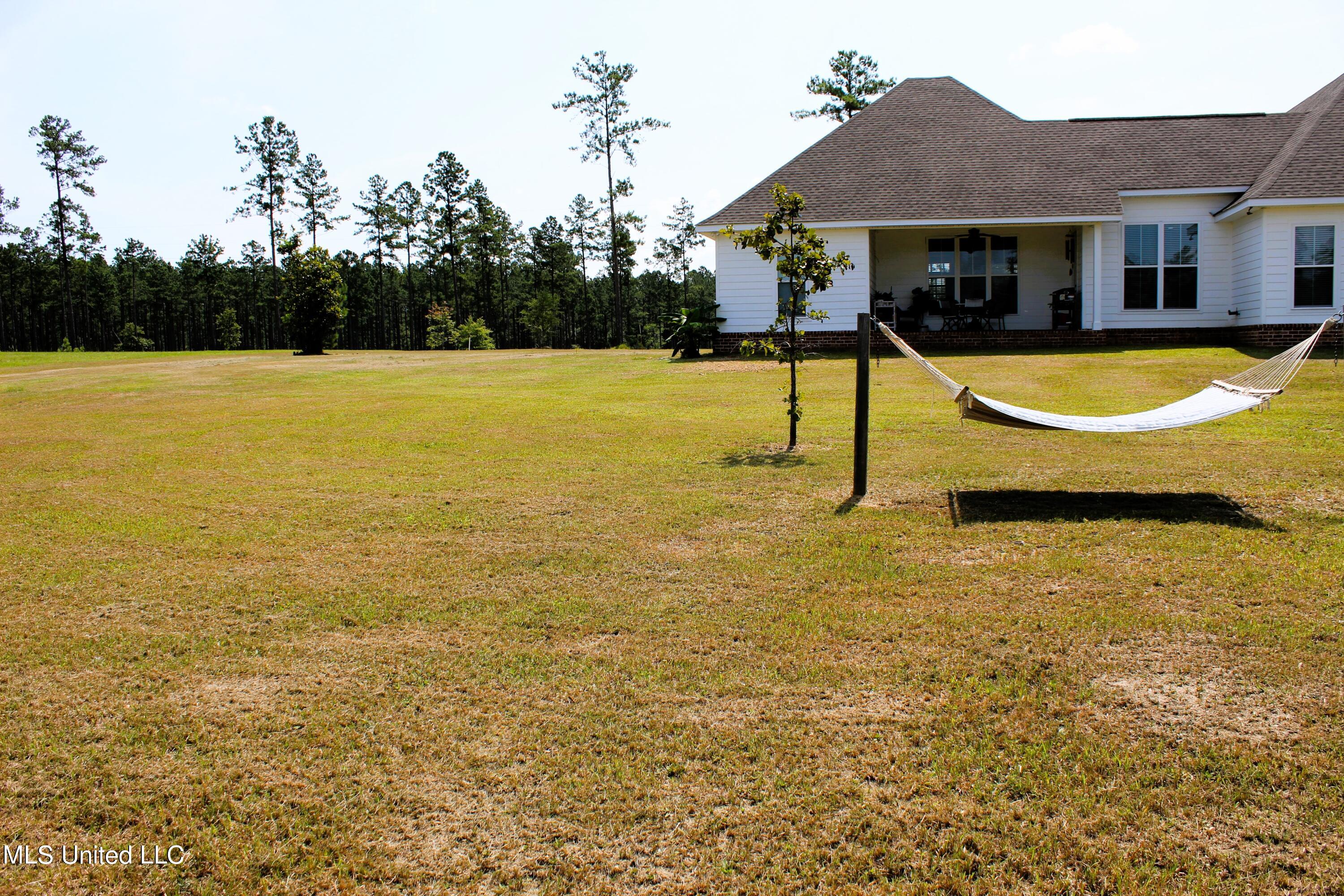 161 Homestead Road Lucedale, MS 39452 - Photo 63 of 66 IMG_2511