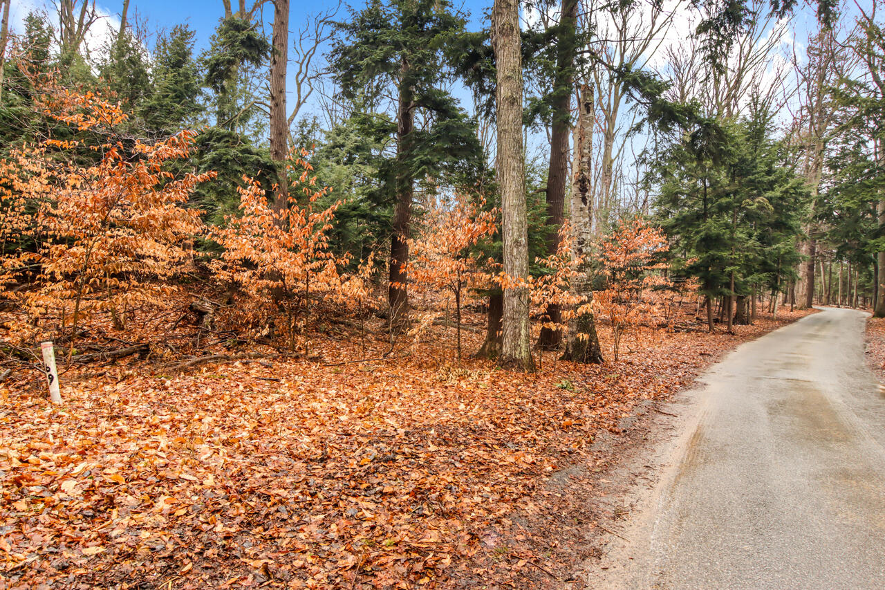 Lot 70 Michabou Road Frankfort, MI 49635 - Photo 17 of 28 2-Scene-2