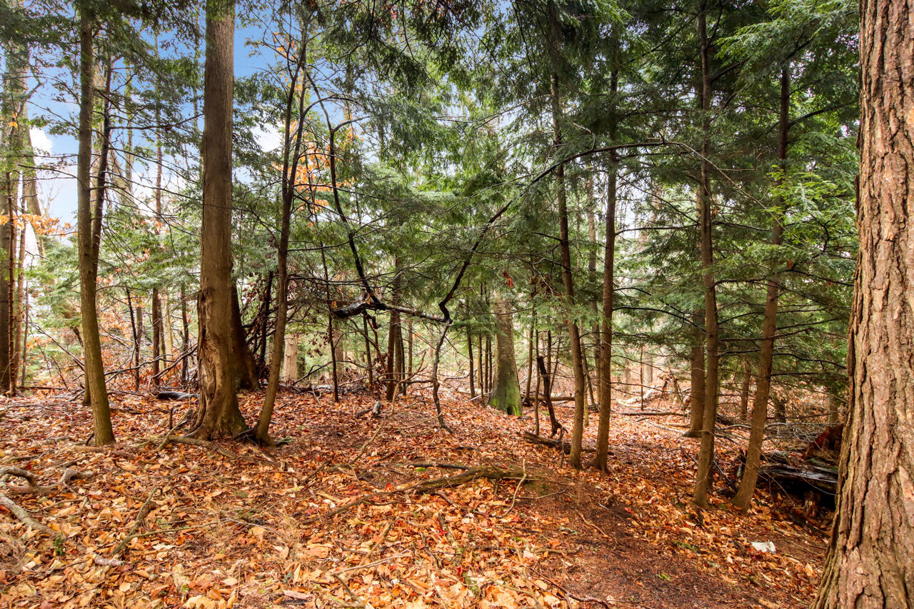 Lot 70 Michabou Road Frankfort, MI 49635 - Photo 18 of 28 4-Scene-4