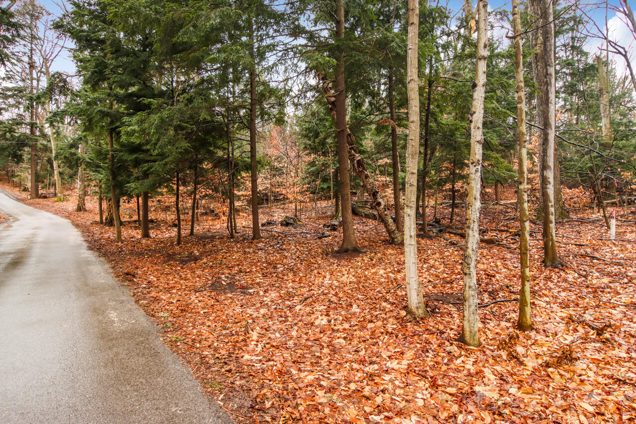 Lot 70 Michabou Road Frankfort, MI 49635 - Photo 19 of 28 3-Scene-3