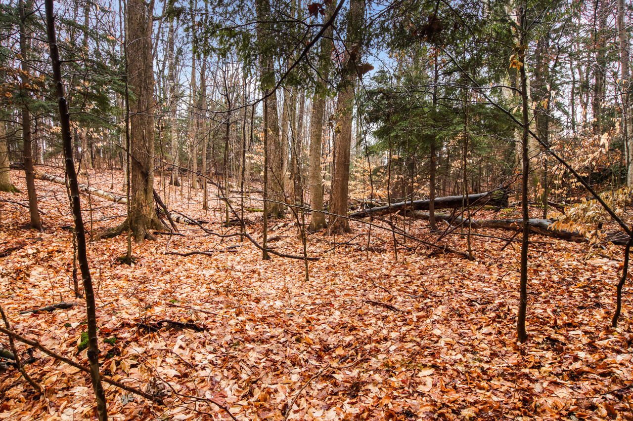 Lot 70 Michabou Road Frankfort, MI 49635 - Photo 20 of 28 5-Scene-5