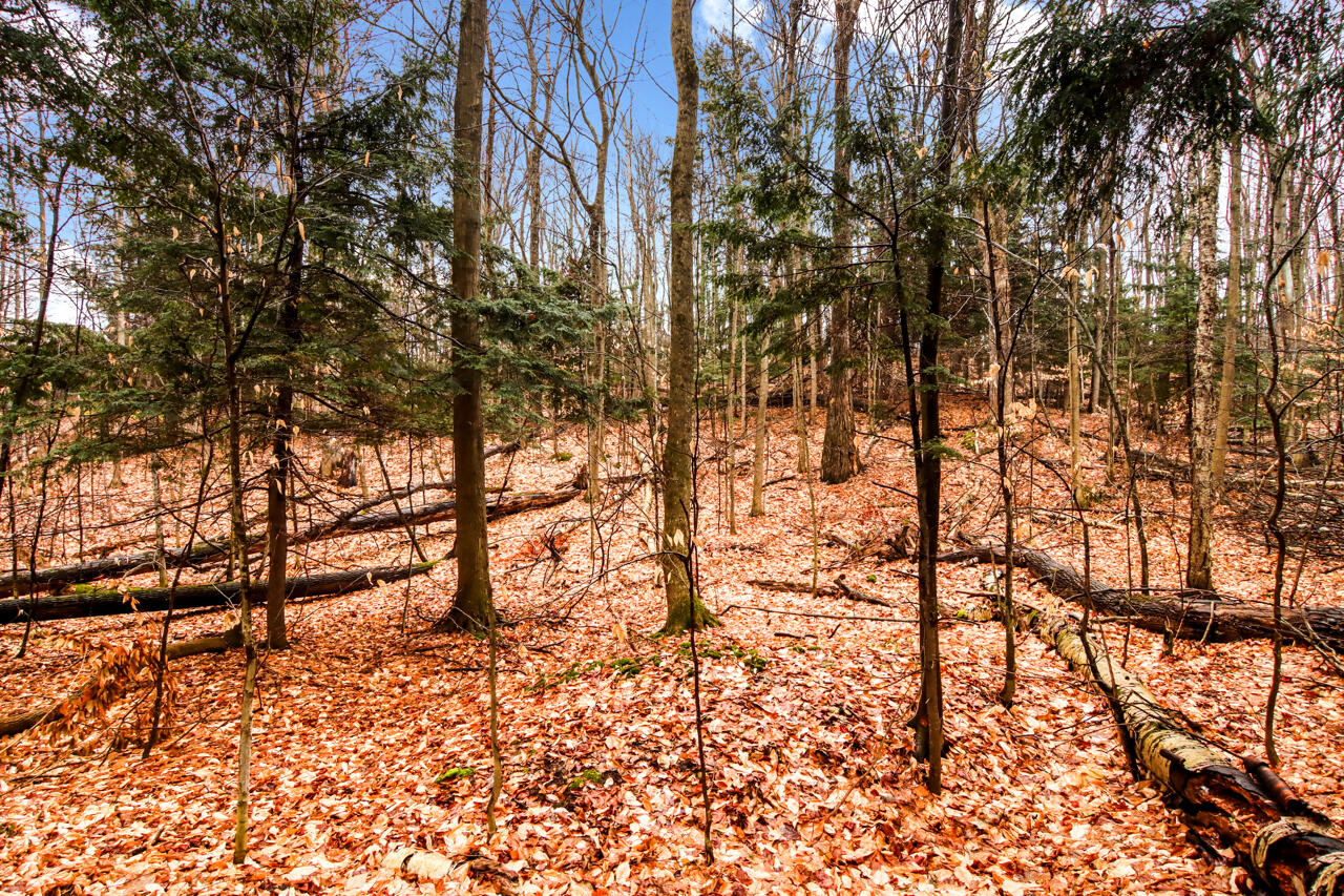Lot 70 Michabou Road Frankfort, MI 49635 - Photo 21 of 28 6-Scene-6