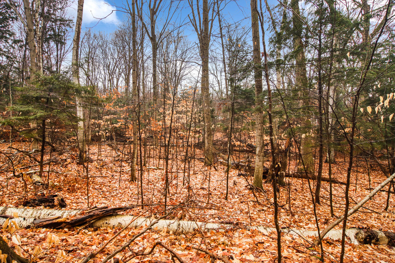 Lot 70 Michabou Road Frankfort, MI 49635 - Photo 22 of 28 7-Scene-7