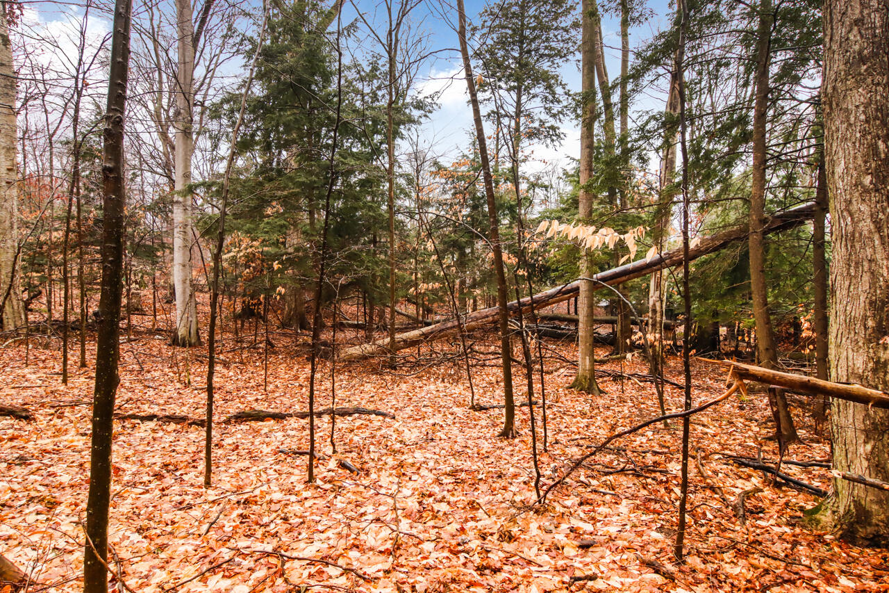 Lot 70 Michabou Road Frankfort, MI 49635 - Photo 23 of 28 8-Scene-8