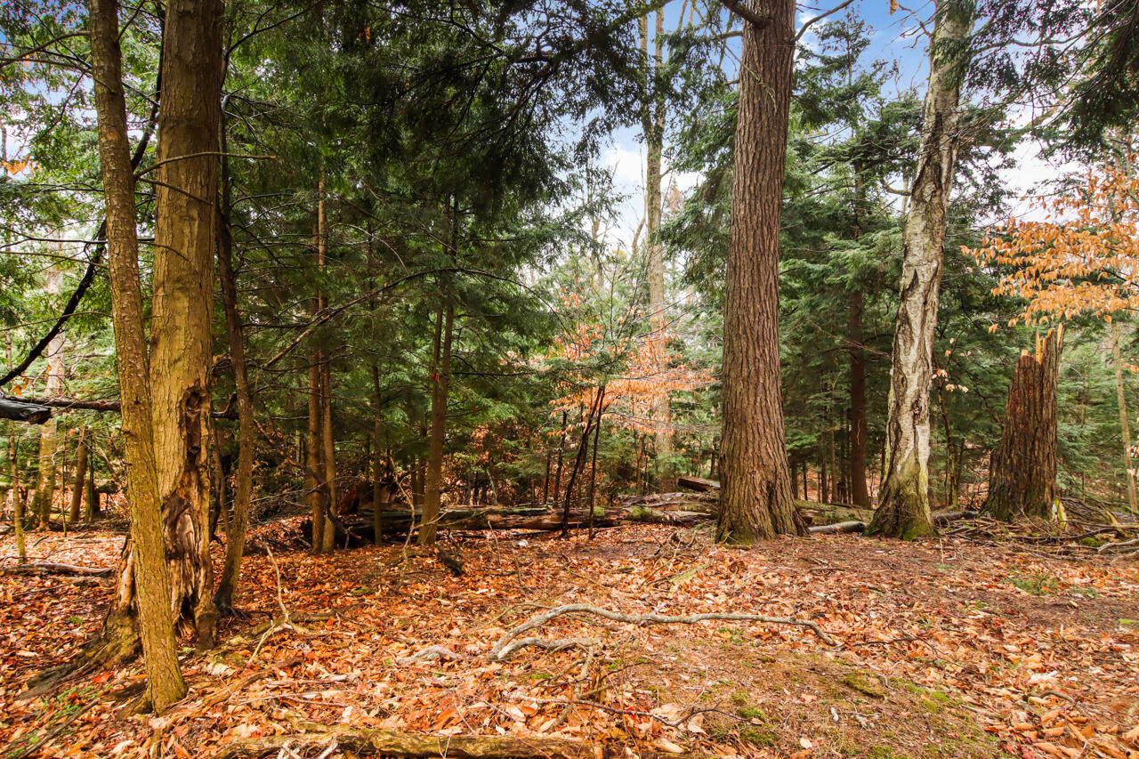 Lot 70 Michabou Road Frankfort, MI 49635 - Photo 24 of 28 9-Scene-9