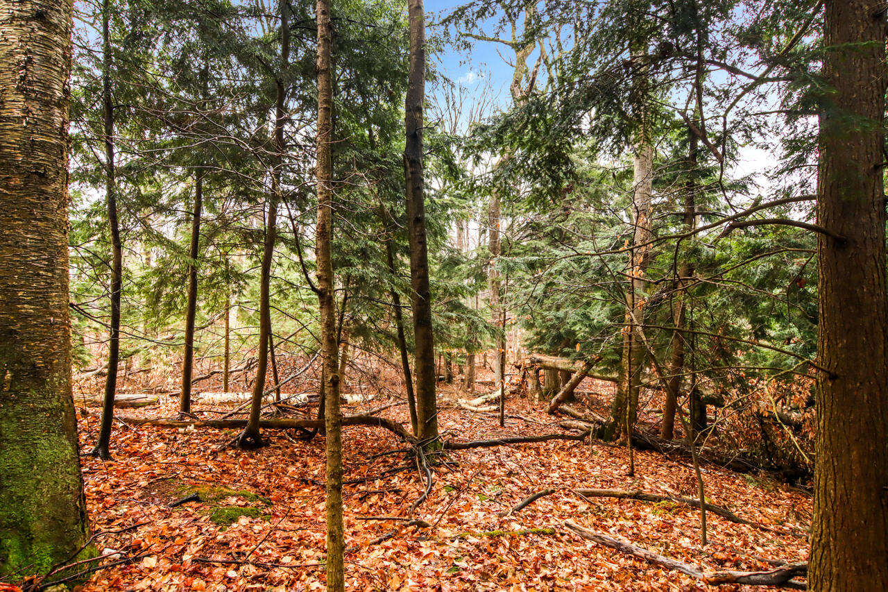 Lot 70 Michabou Road Frankfort, MI 49635 - Photo 25 of 28 10-Scene-10