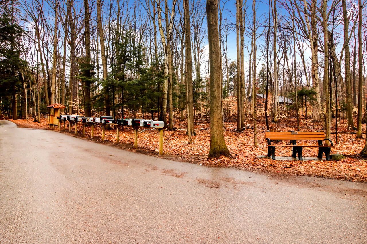 Lot 70 Michabou Road Frankfort, MI 49635 - Photo 26 of 28 1-Scene-1