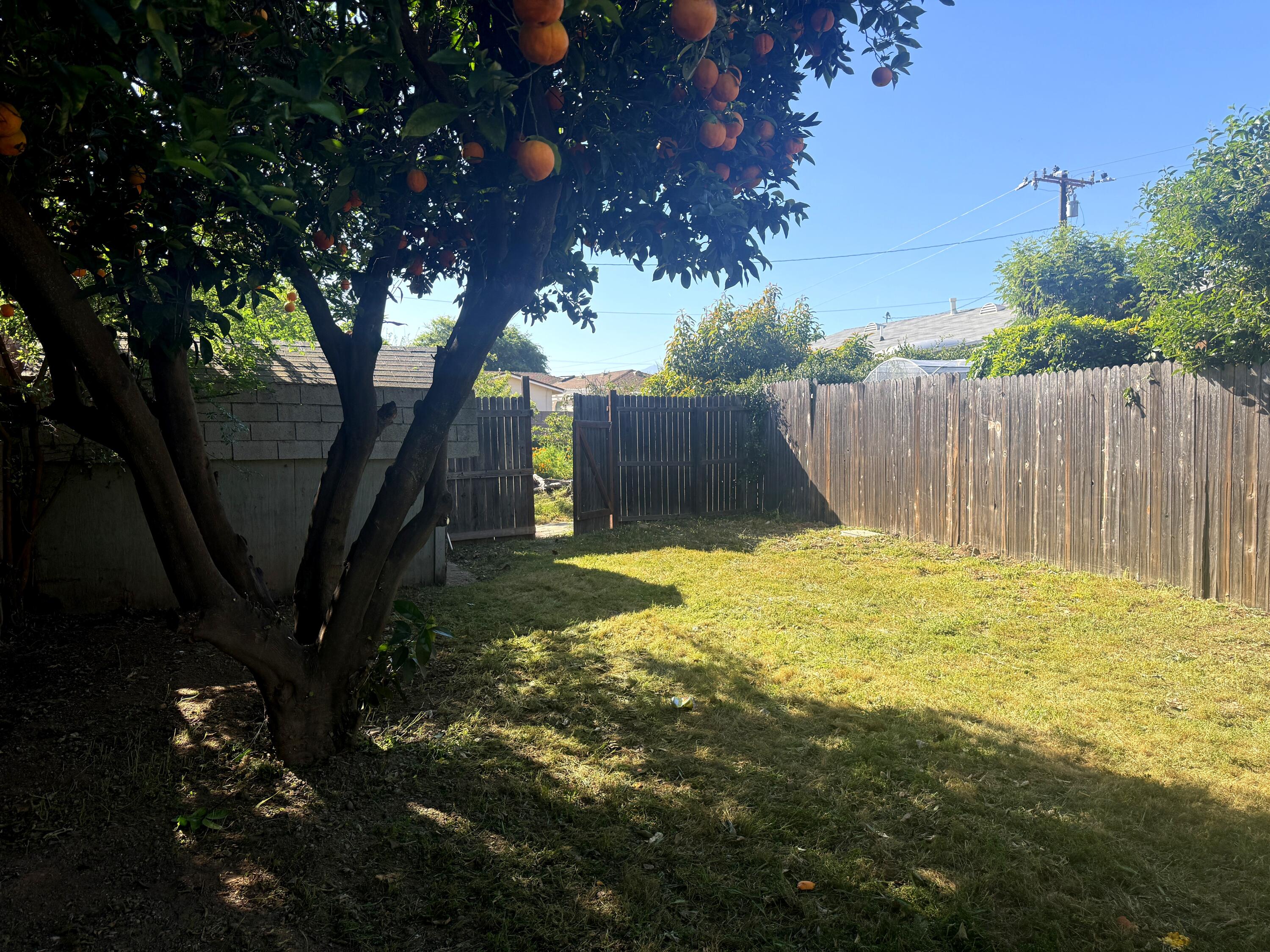 50 East Portal Street Oak View, CA 93022 - Photo 30 of 33 a view of a backyard