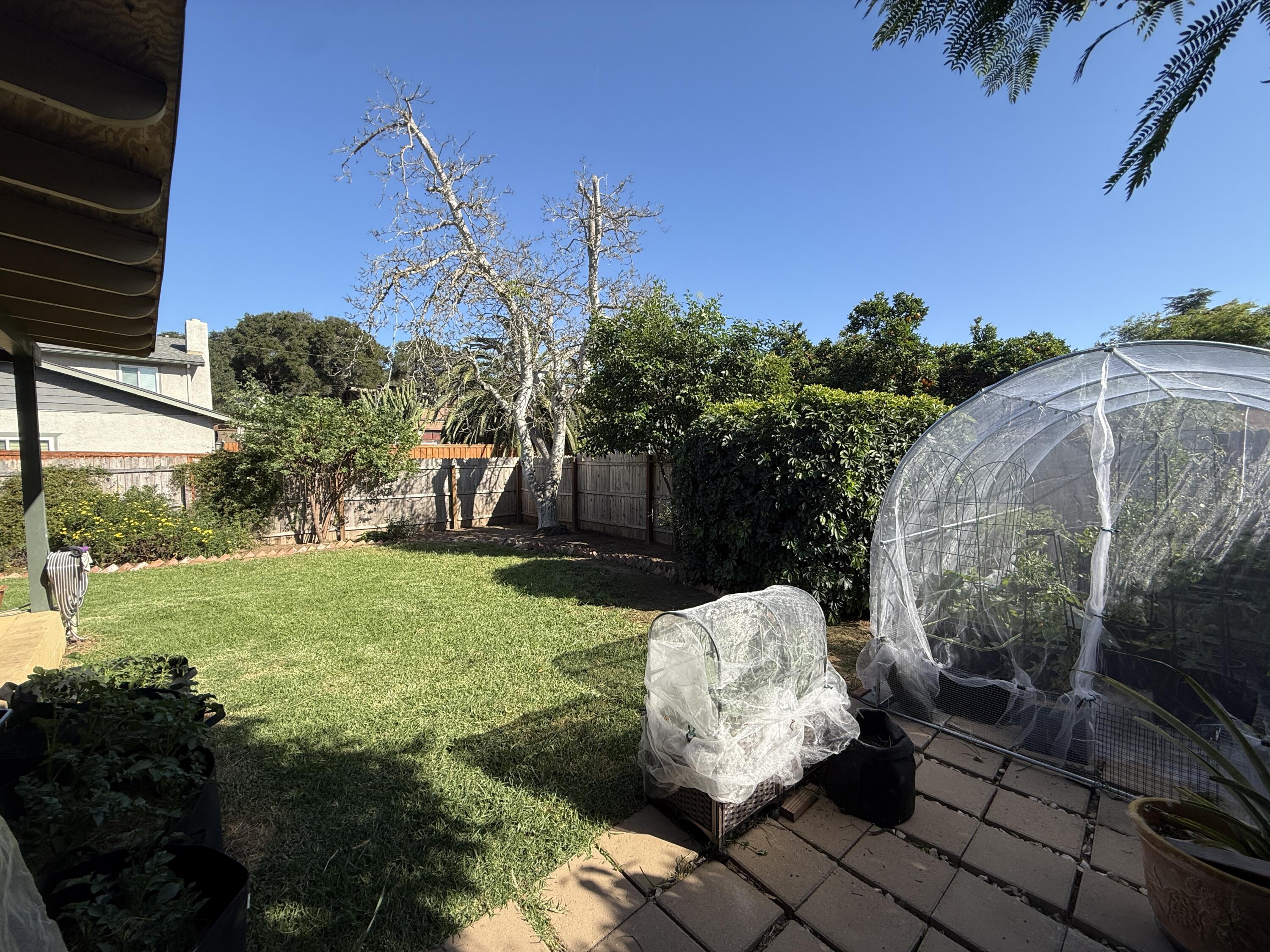 50 East Portal Street Oak View, CA 93022 - Photo 31 of 33 a wooden bench sitting in the middle of a yard