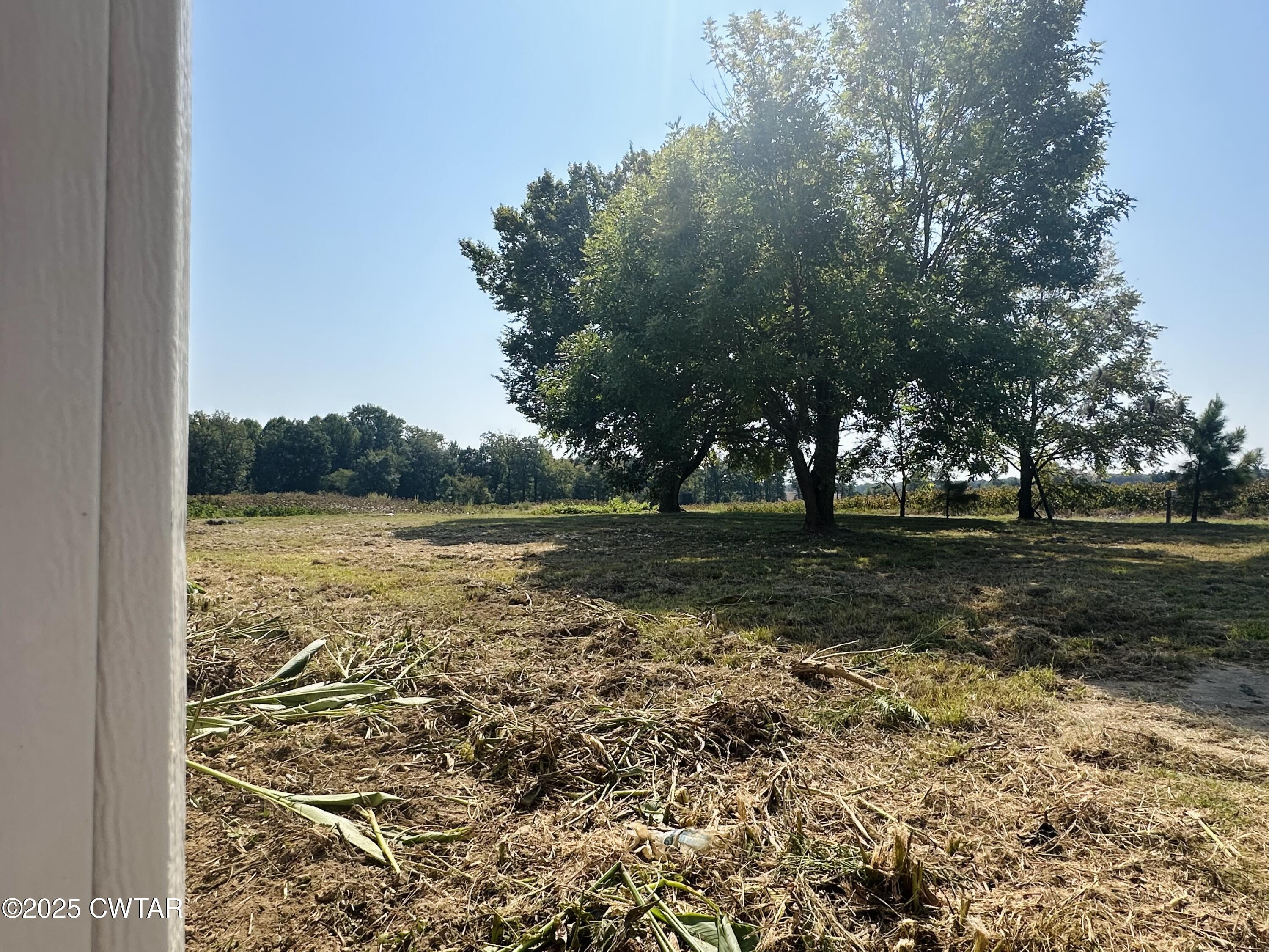 1144 Pumping Station Road Stanton, TN 38069 - Photo 2 of 10 a view of lake with outdoor space