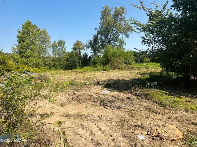 a view of outdoor space with trees all around