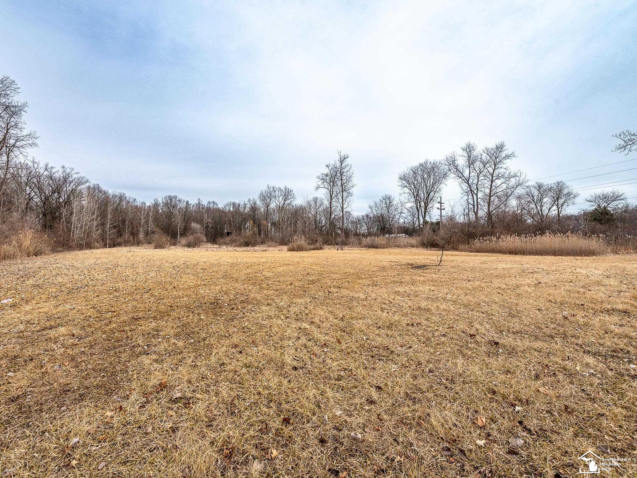 Nadeau Road Monroe, MI 48162 - Photo 3 of 9