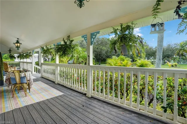 a view of a garden with plants