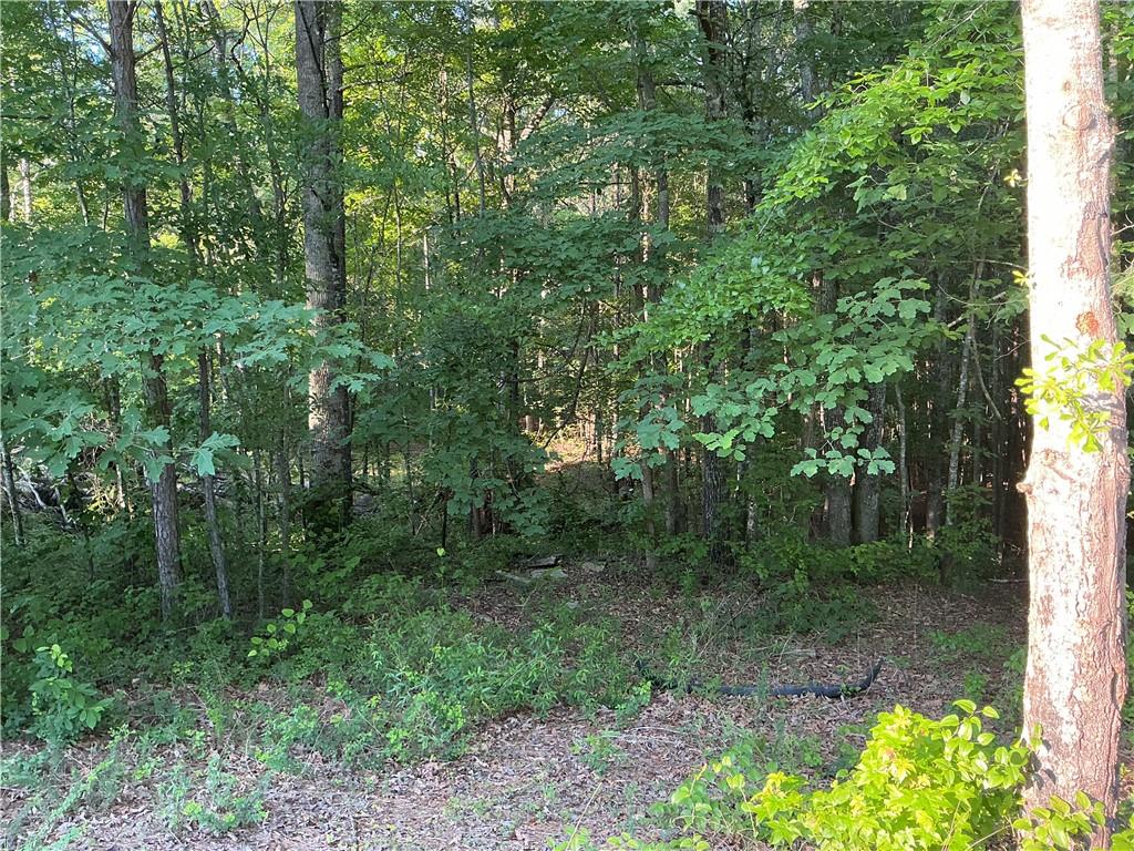703 Central High Road Carrollton, GA 30116 - Photo 9 of 27