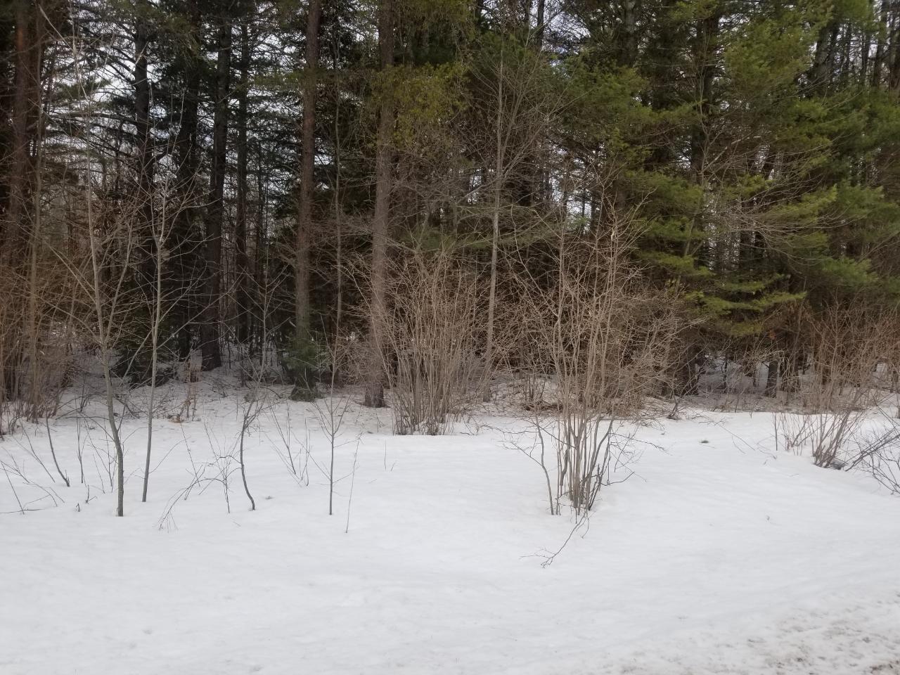 On Loon Lake Road, Unit LOT 2 Eagle River, WI 54521 - Photo 11 of 16 Gallery Image 11