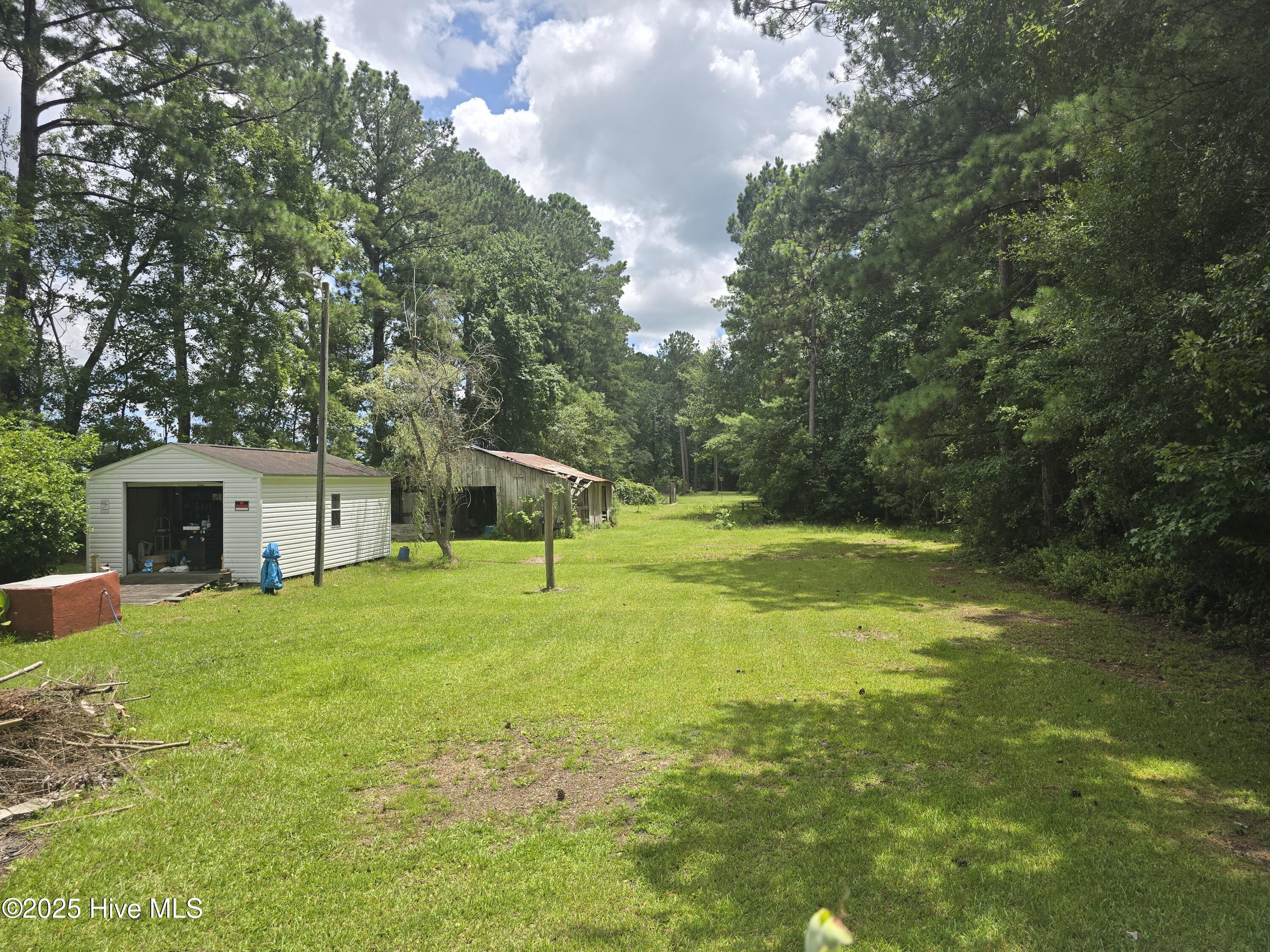 3117 Coras Grove Road Watha, NC 28478 - Photo 21 of 21 bk yard 2