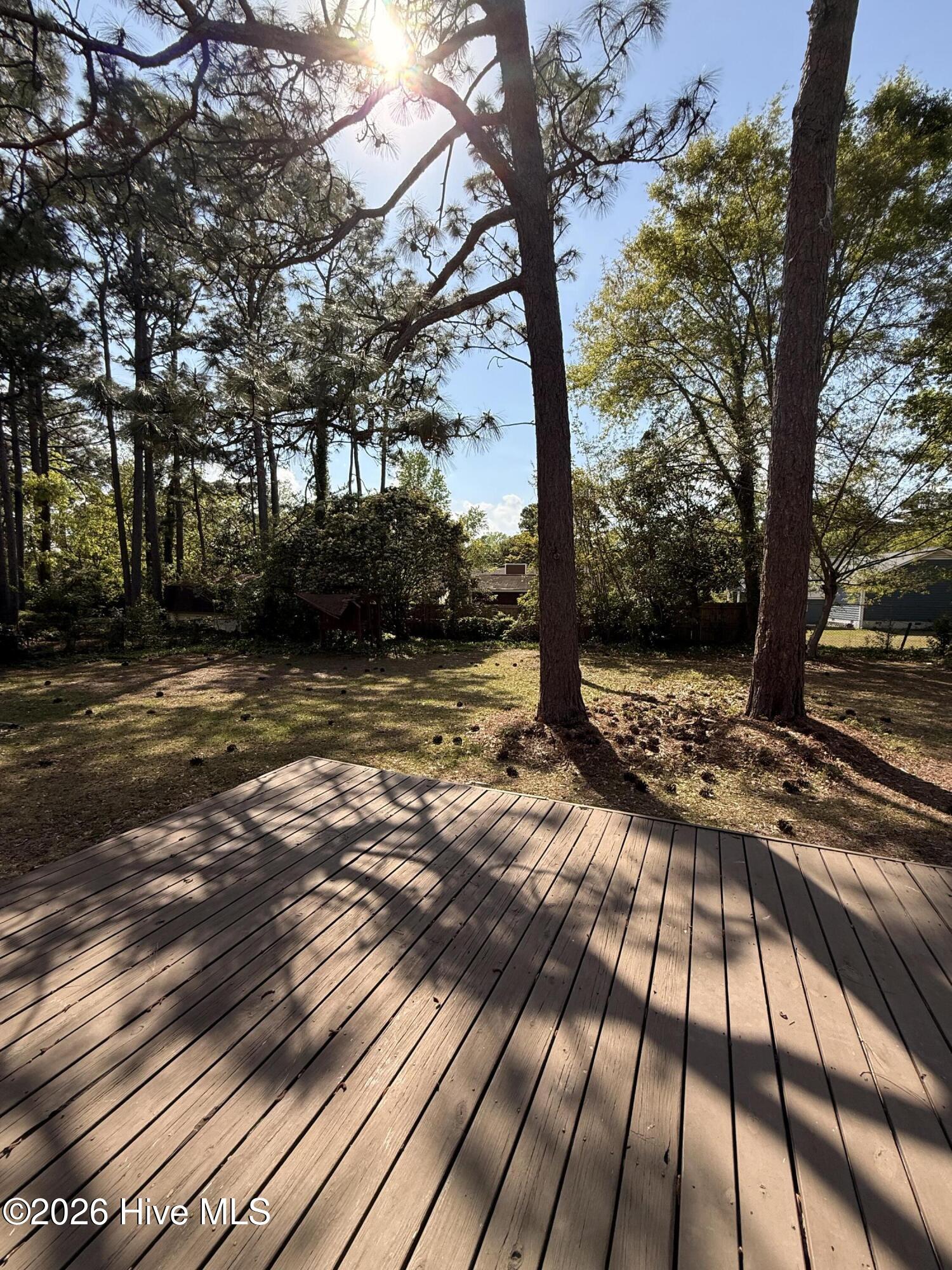 925 Hunting Ridge Road Wilmington, NC 28412 - Photo 23 of 27 Backyard