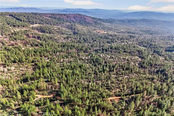 a view of a dry yard with green space