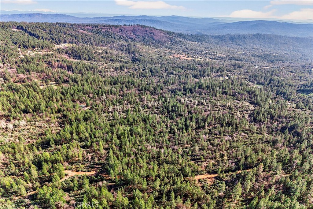 0 Robinson Mill Road Bangor, CA 95966 - Photo 4 of 5 a view of a dry yard with green space