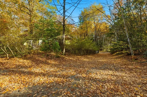 a view of dirt yard with a trees