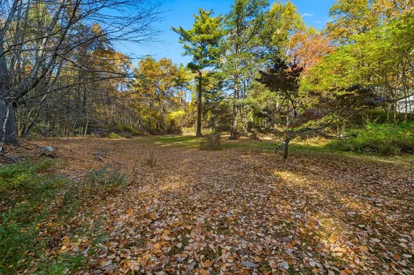 a view of a yard with a tree