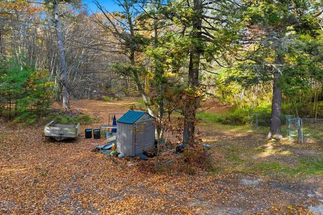 a view of a yard with a tree