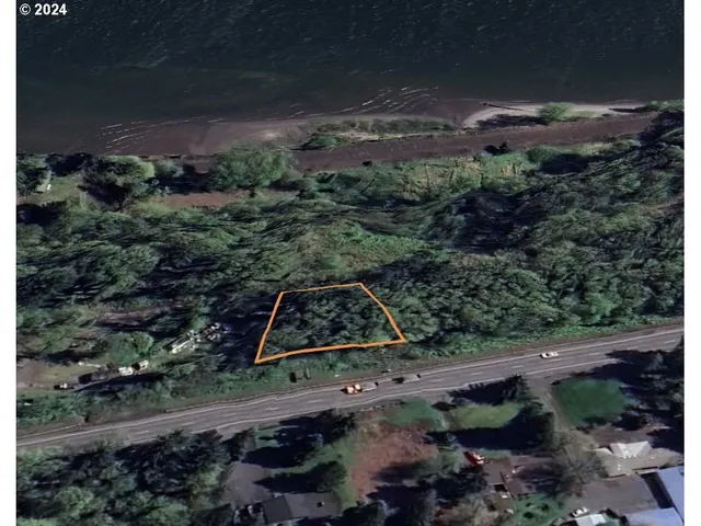 a view of a backyard with plants and outdoor space