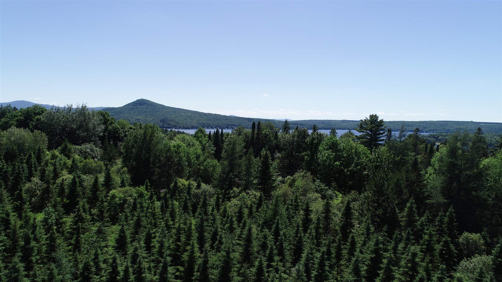 Toad Pond Road Morgan, VT 05853 - Photo 11 of 27