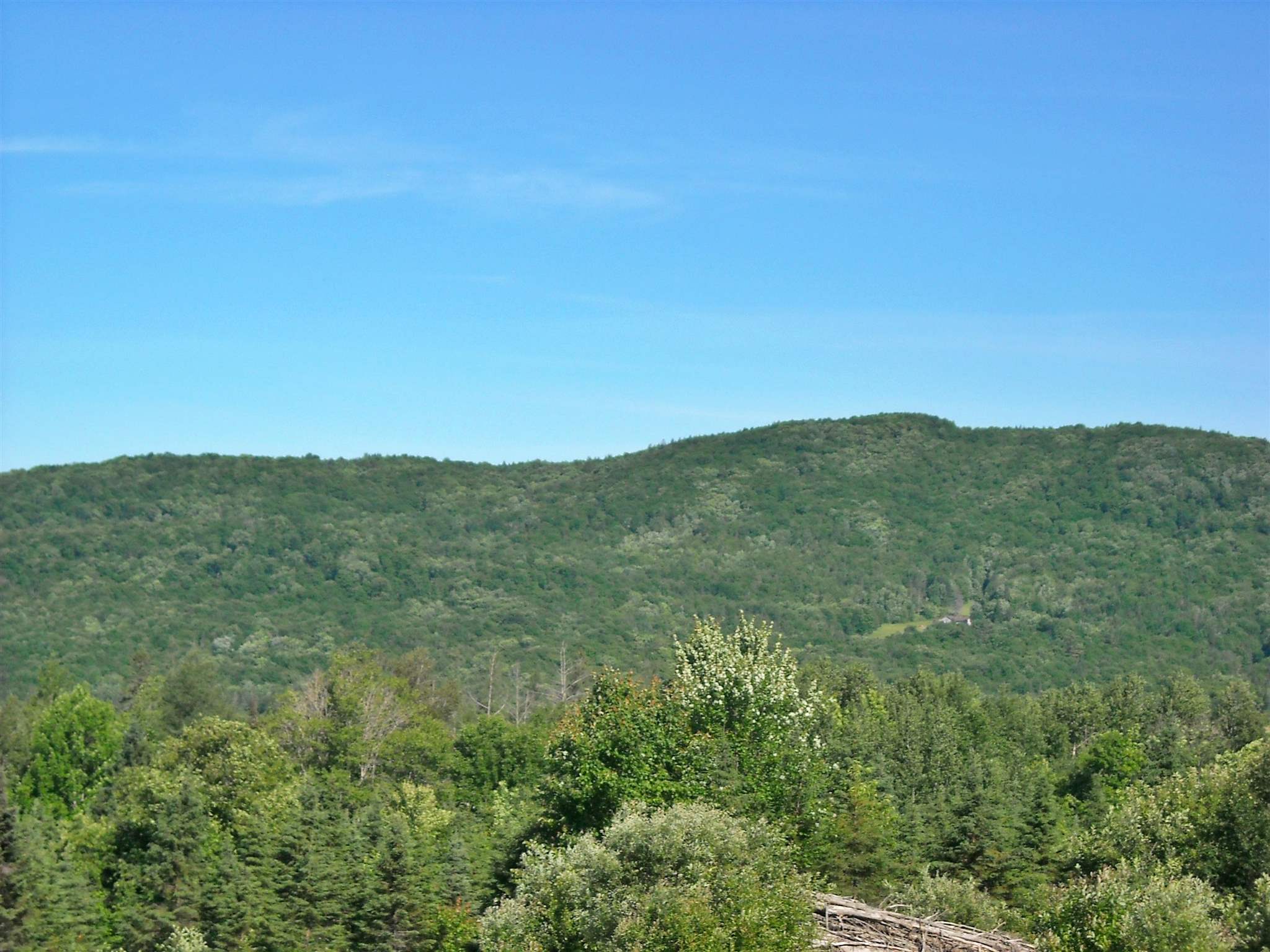 Toad Pond Road Morgan, VT 05853 - Photo 17 of 27