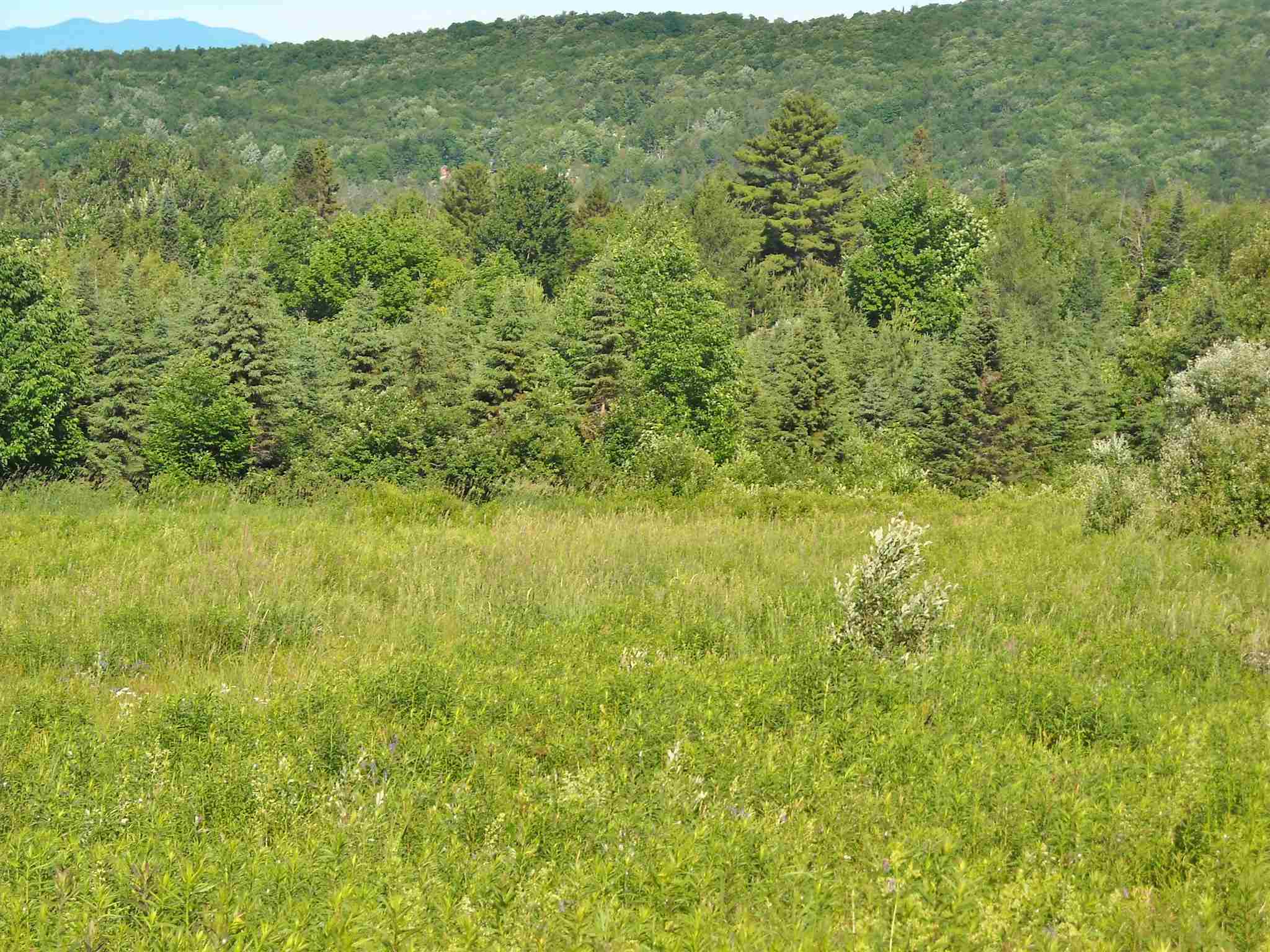 Toad Pond Road Morgan, VT 05853 - Photo 21 of 27